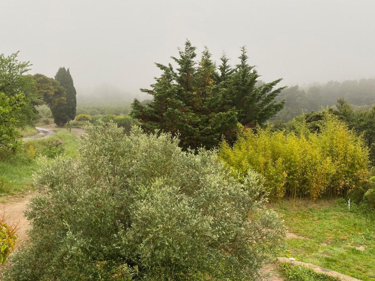 Mas Des Tournevents Bed & Breakfast Lezignan-Corbieres Exterior photo