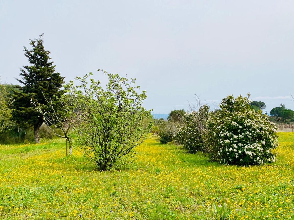 Mas Des Tournevents Bed & Breakfast Lezignan-Corbieres Exterior photo