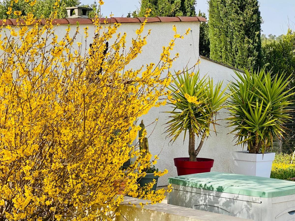 Mas Des Tournevents Bed & Breakfast Lezignan-Corbieres Exterior photo